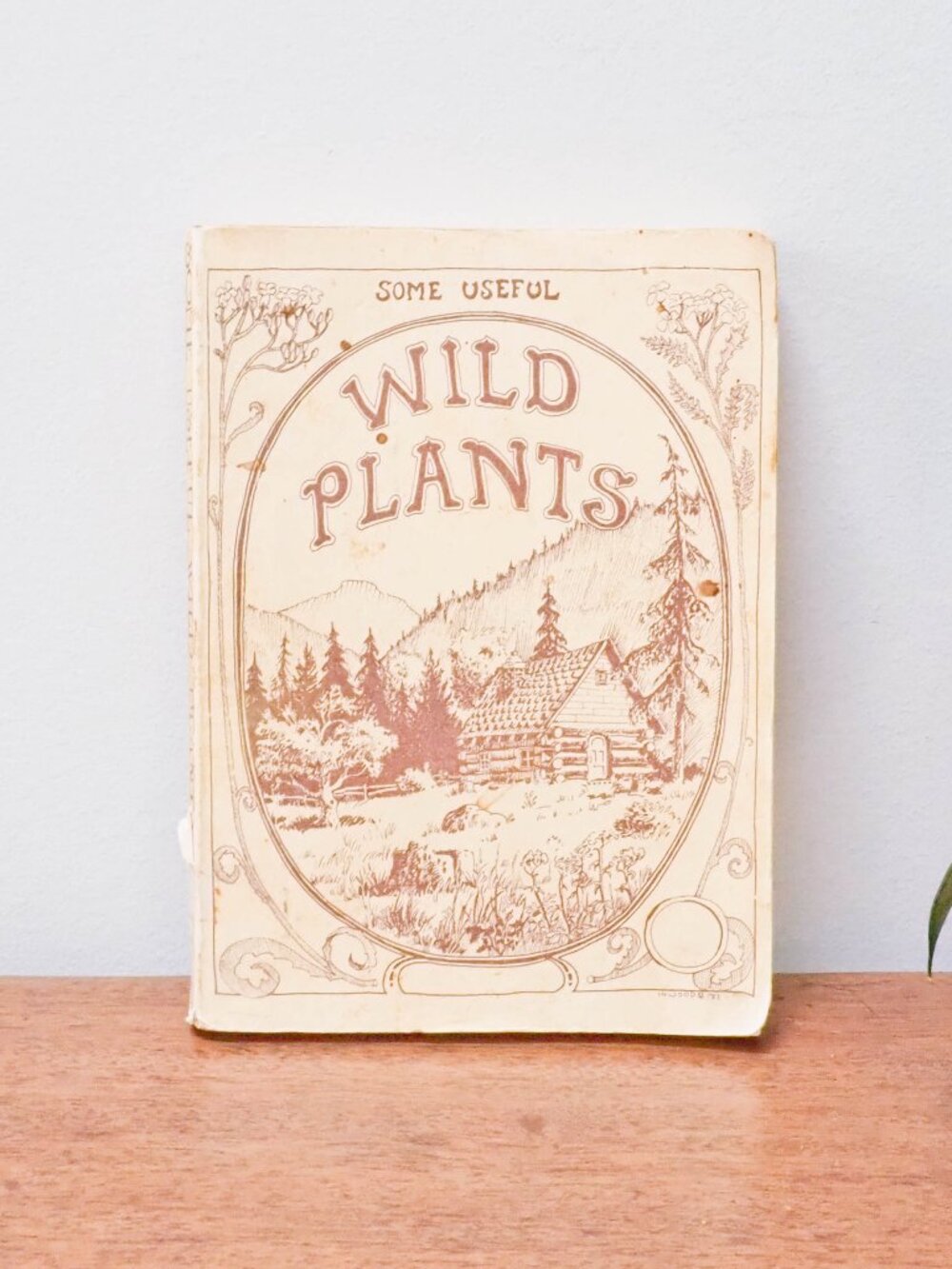 Some Useful Wild Plants - 1973 - David Manning - Vintage Foraging Guide